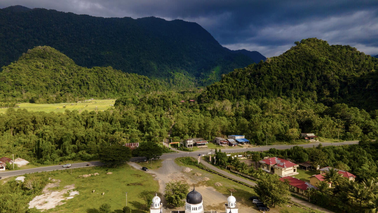 Activists slam 'destructive' Indonesia forest conversion plan