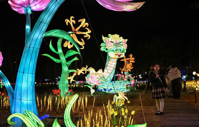 Lanterns light up southern Chinese city ahead of Lunar New Year