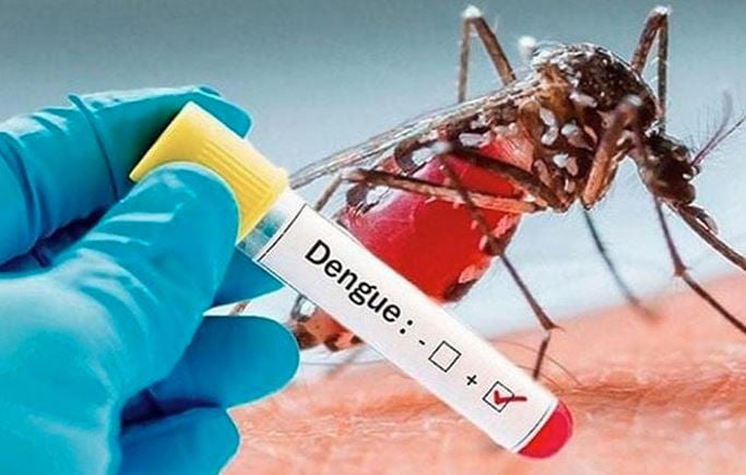 33 dengue patients hospitalized in last 24 hrs