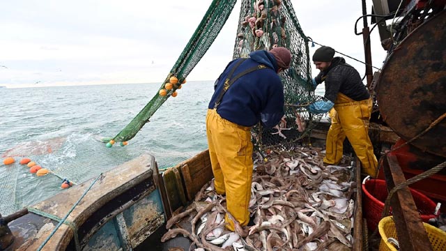 EU, Britain to face off in post-Brexit fishing battle case