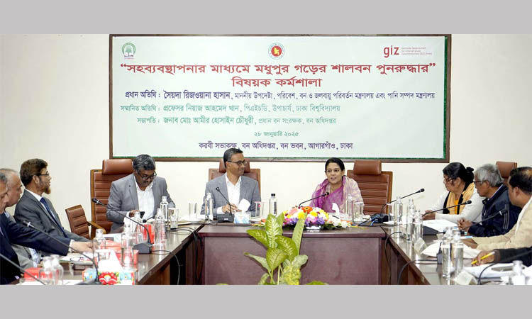 Govt to launch campaign to restore Sal forest in Tangail: Rizwana