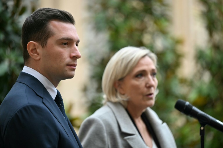 Le Pen says 'aims to lead France' but won't be PM