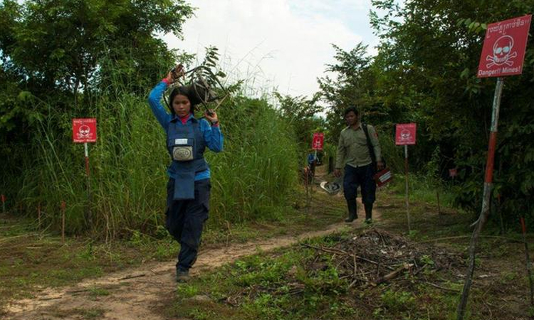 US funding freeze forces Cambodia to partially halt mine clearance