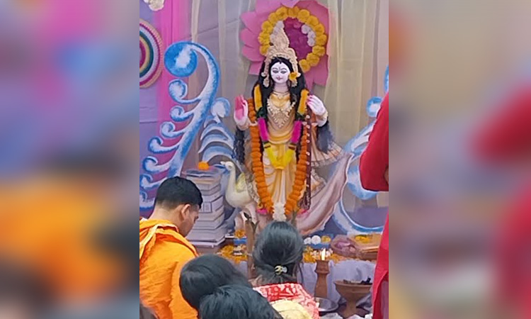 Saraswati Puja celebrated in Rajshahi