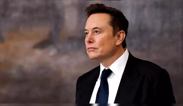 Musk's US government 'takeover' sounds alarm bells