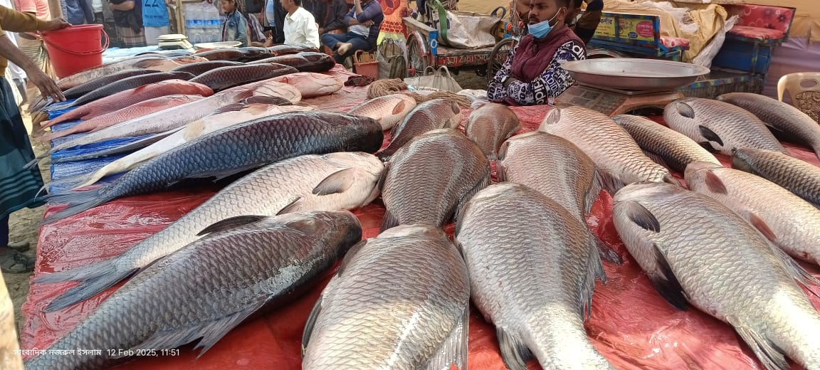 ‘Poradaha Mela' being held on bank of Ichamati River in Bogura