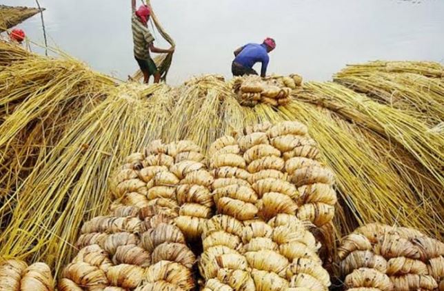 Jute, shrimp export increases from Khulna: EPB