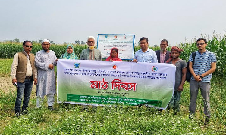 Experiment of 3 crops cultivation on same land gains successful 