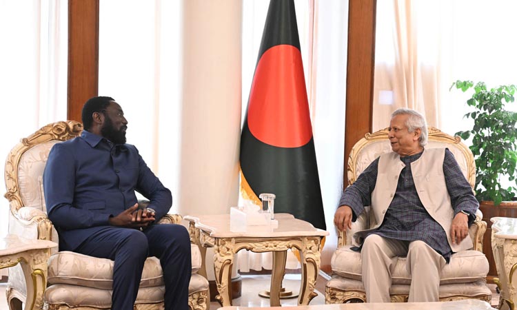 Gambian FM calls on CA, discusses ICJ case