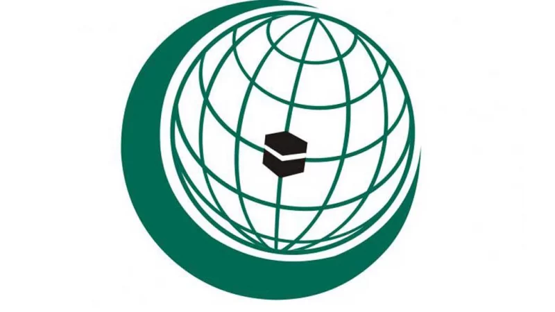 OIC countries assure of helping expatriate Bangladeshis to vote  