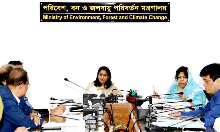 Effective steps to be taken for resolving environmental complaints: Rizwana