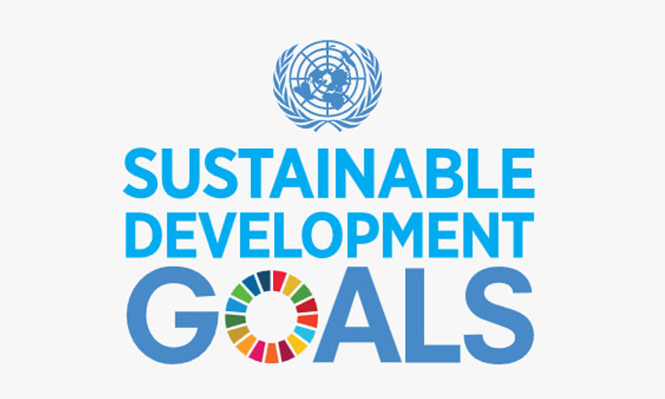 Experts for inclusive democratic society to help deliver SDGs for LNOB groups