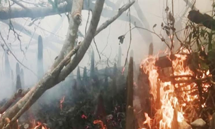 Fire breaks out Kolomteji area in Sundarbans