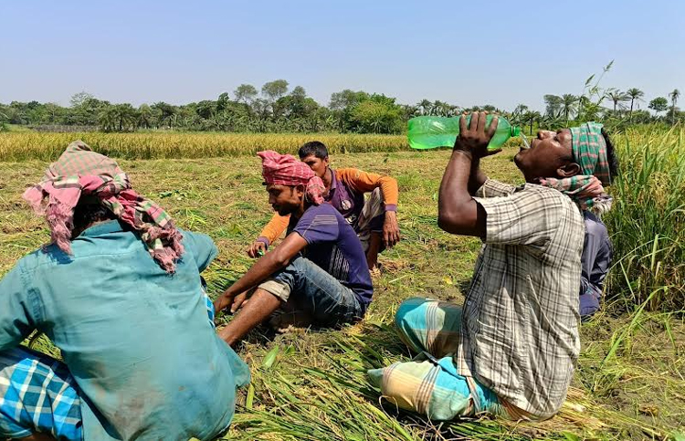 সর্বোচ্চ তাপমাত্রা চুয়াডাঙ্গায় রেকর্ড