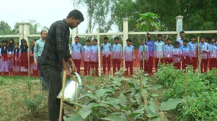 সারা ফেলেছে টাঙ্গাইলের শিক্ষা প্রতিষ্ঠানের পুষ্টি বাগান