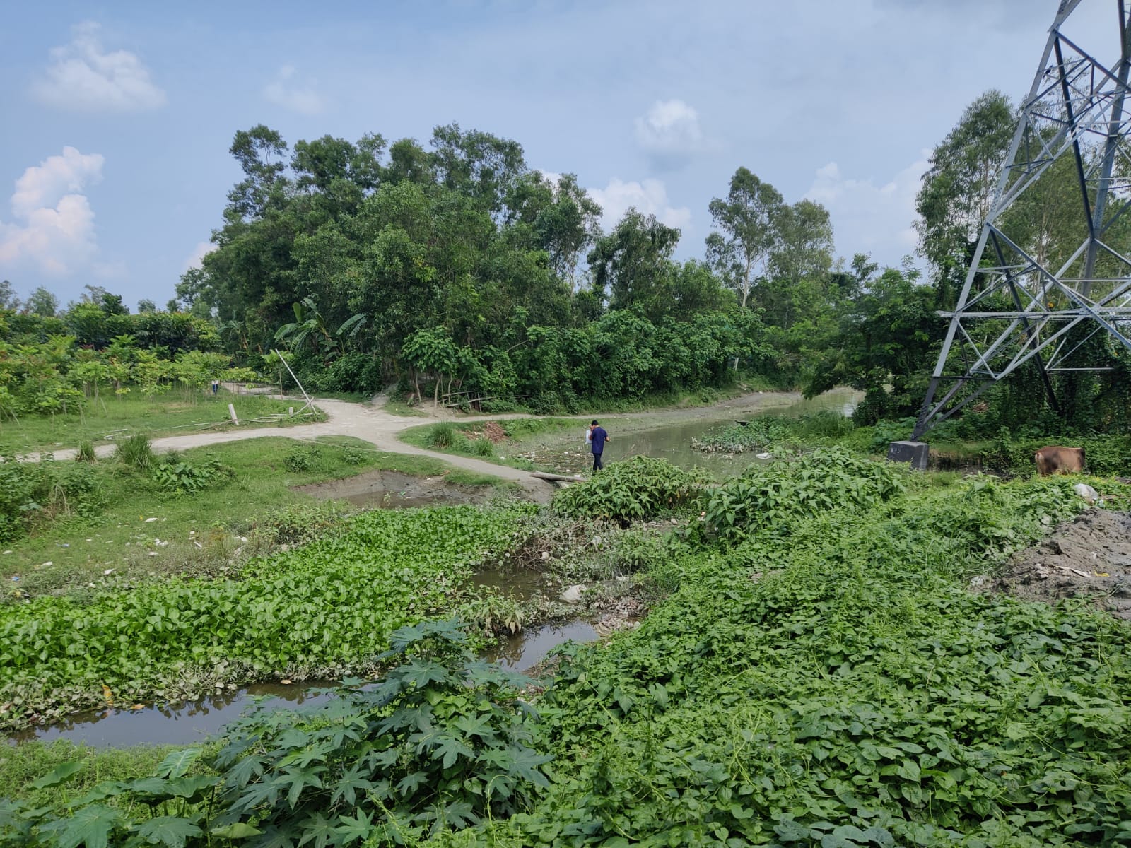 মুন্সীগঞ্জে রজতরেখার উৎসমুখে বাঁধ : অস্তিত্ব সংকটে ঐতিহ্যবাহী নদীটি