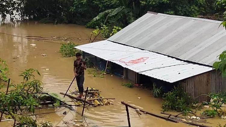 কুমিল্লায় গোমতী নদীর বাঁধ ভেঙে বুড়িচং উপজেলা প্লাবিত