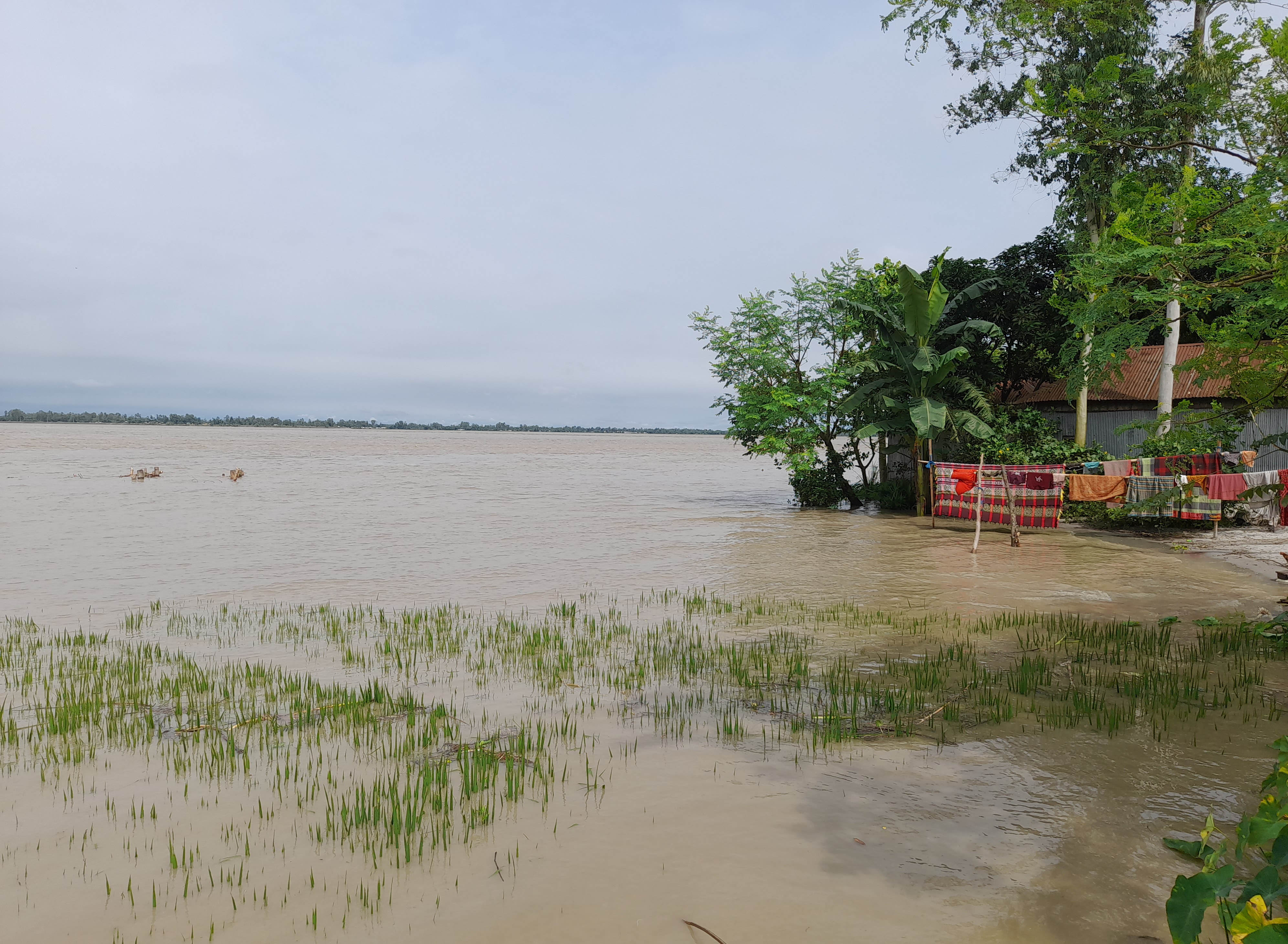 নীলফামারীতে তিস্তার পানি বৃদ্ধি, বিপদসীমার কাছ দিয়ে প্রবাহিত হচ্ছে 