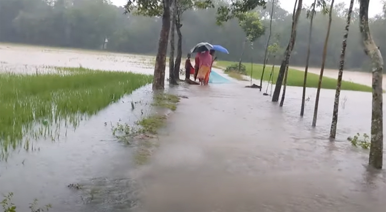 বন্যায় শেরপুরের নিম্নাঞ্চল প্লাবিত: ৩ জনের প্রাণহানি