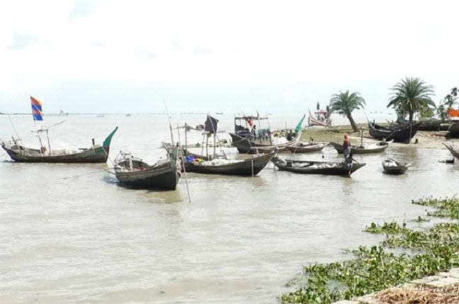 মা ইলিশ রক্ষায় শনিবার মধ্য রাত থেকে ২২দিন মেঘনায় সব ধরনের মাছ ধরা বন্ধ