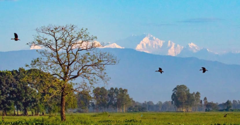 পঞ্চগড়ে শীতের আগমনী বার্তা : তেঁতুলিয়ায় ভ্রমণপ্রেমীদের ভিড়