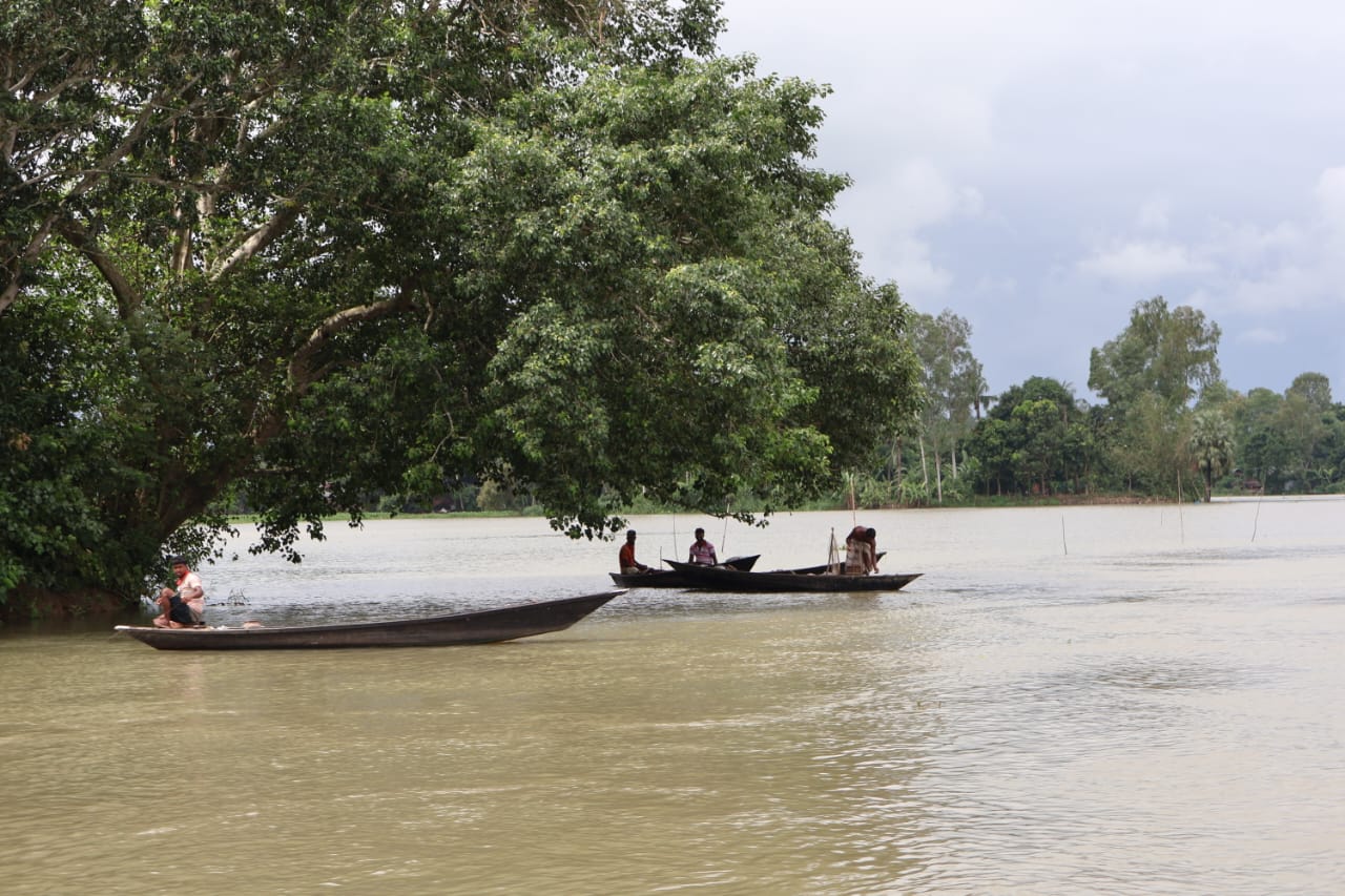 চলনবিলের জীববৈচিত্র্য রক্ষা করতে হবে