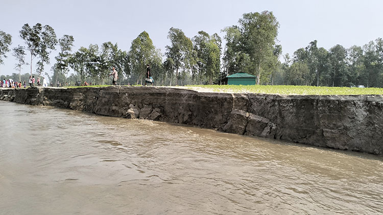 কুড়িগ্রামের উলিপুর পাড়ে  ব্রহ্মপুত্র নদের তীব্র ভাঙন