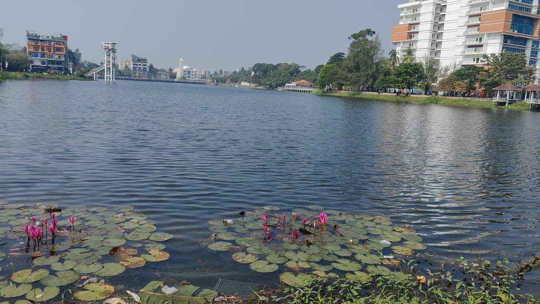 মাদারীপুরে শকুনি লেকের সৌন্দর্যে মুগ্ধ দর্শনার্থীরা