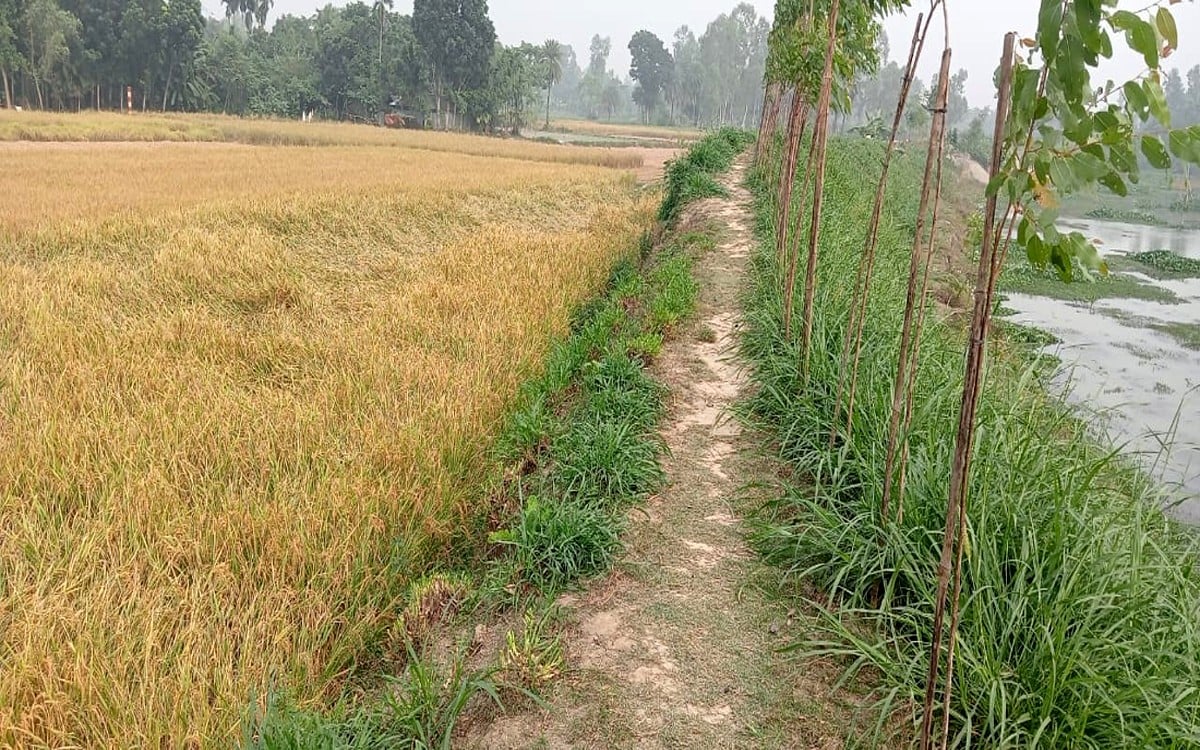 রংপুরের নলেয়া খাল পুনঃখননে ৬৮০০ হেক্টর জমি জলাবদ্ধতা মুক্ত