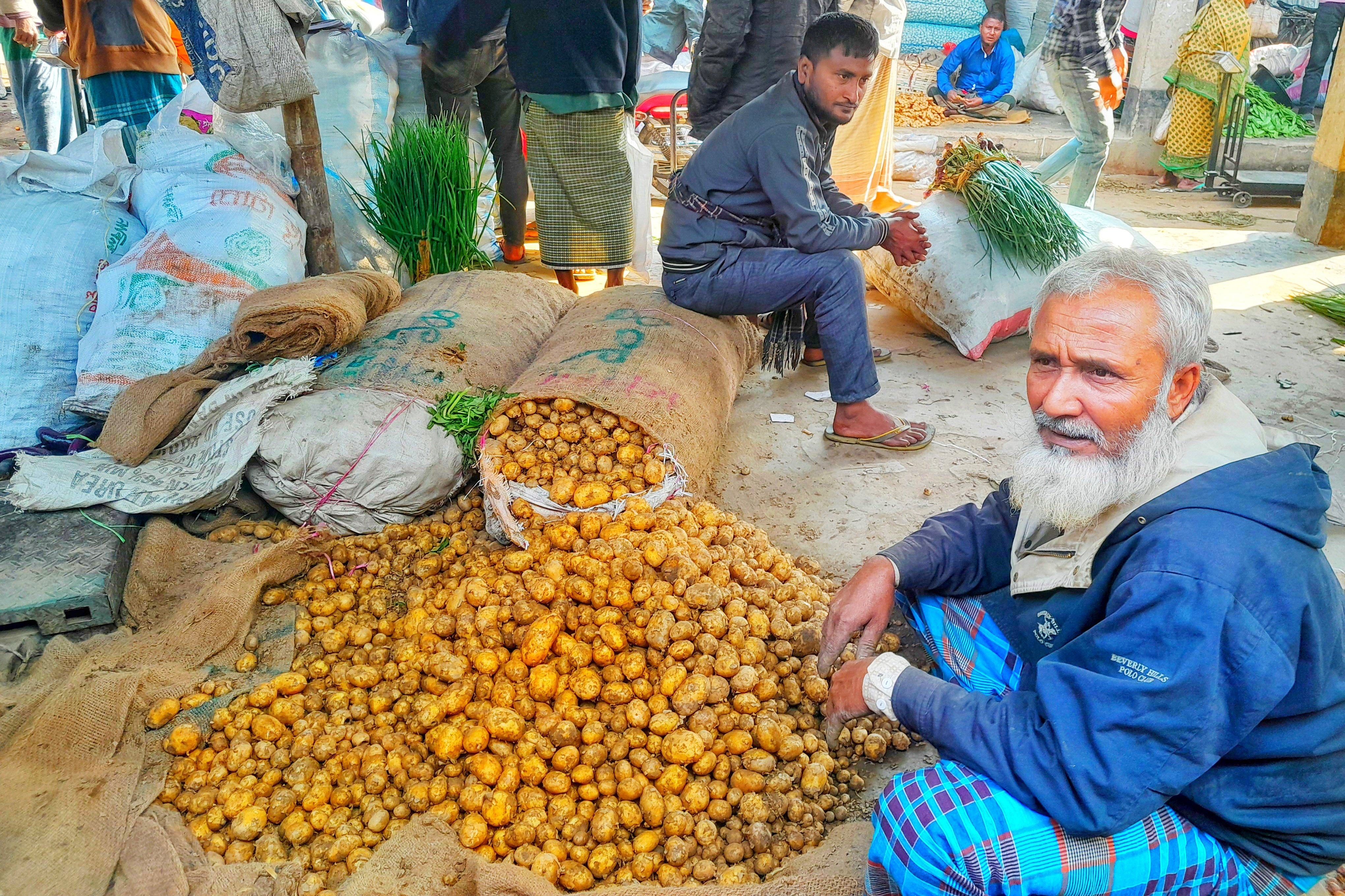 লালমনিরহাটে আগাম জাতের আলু চাষে লাভবান কৃষকেরা