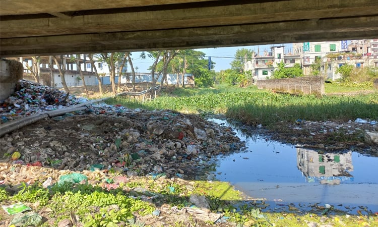 চাঁদপুরে ভরাট হয়ে আছে মিঠানিয়া খালের মুখ