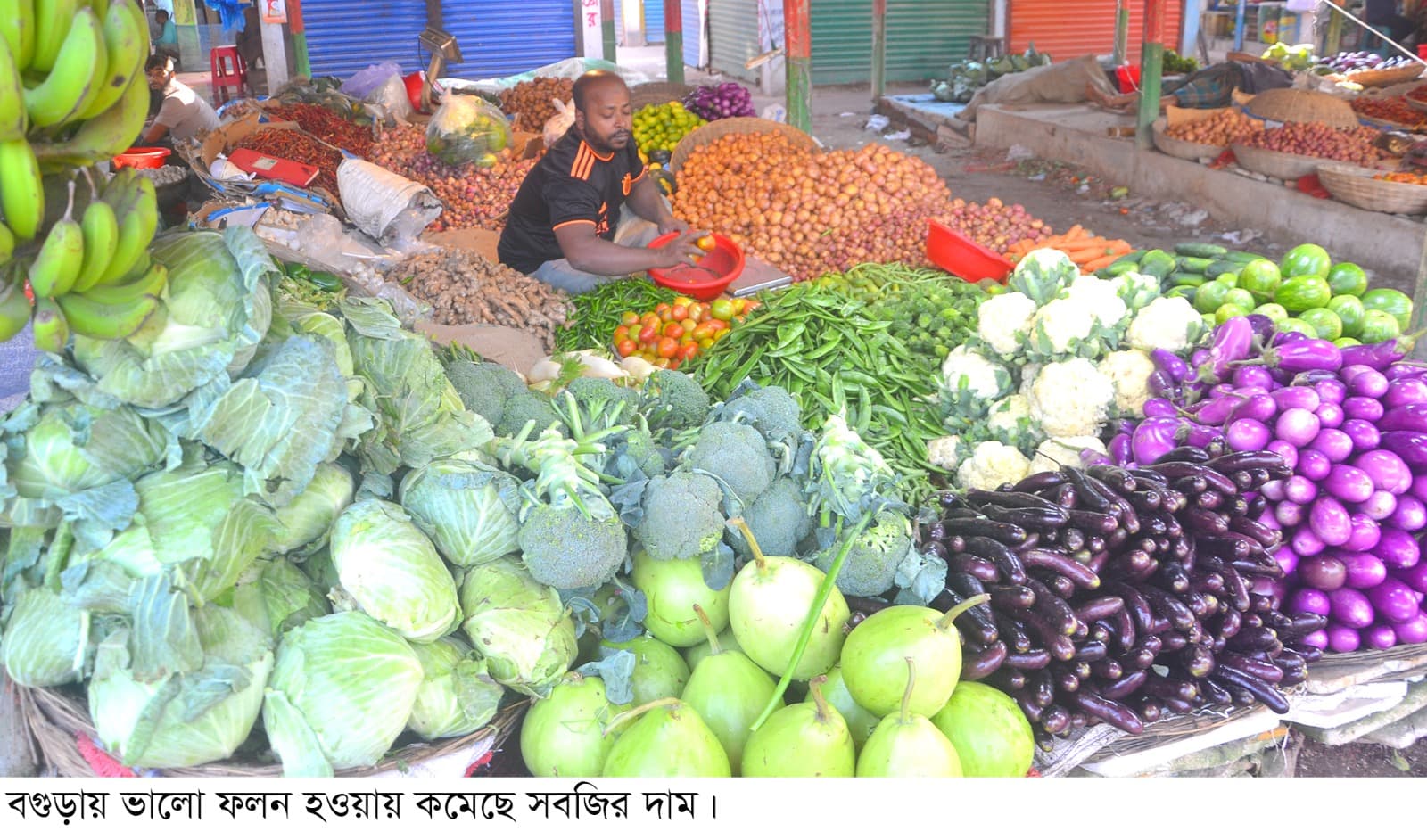 বগুড়ার কমেছে সবজির দাম, বাজারে স্বস্তি