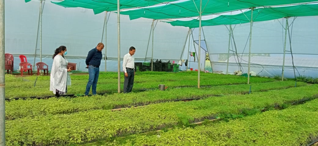 সরকারের আর্থিক সহায়তায় স্বাবলম্বী সুনামগঞ্জের ১০ কৃষক