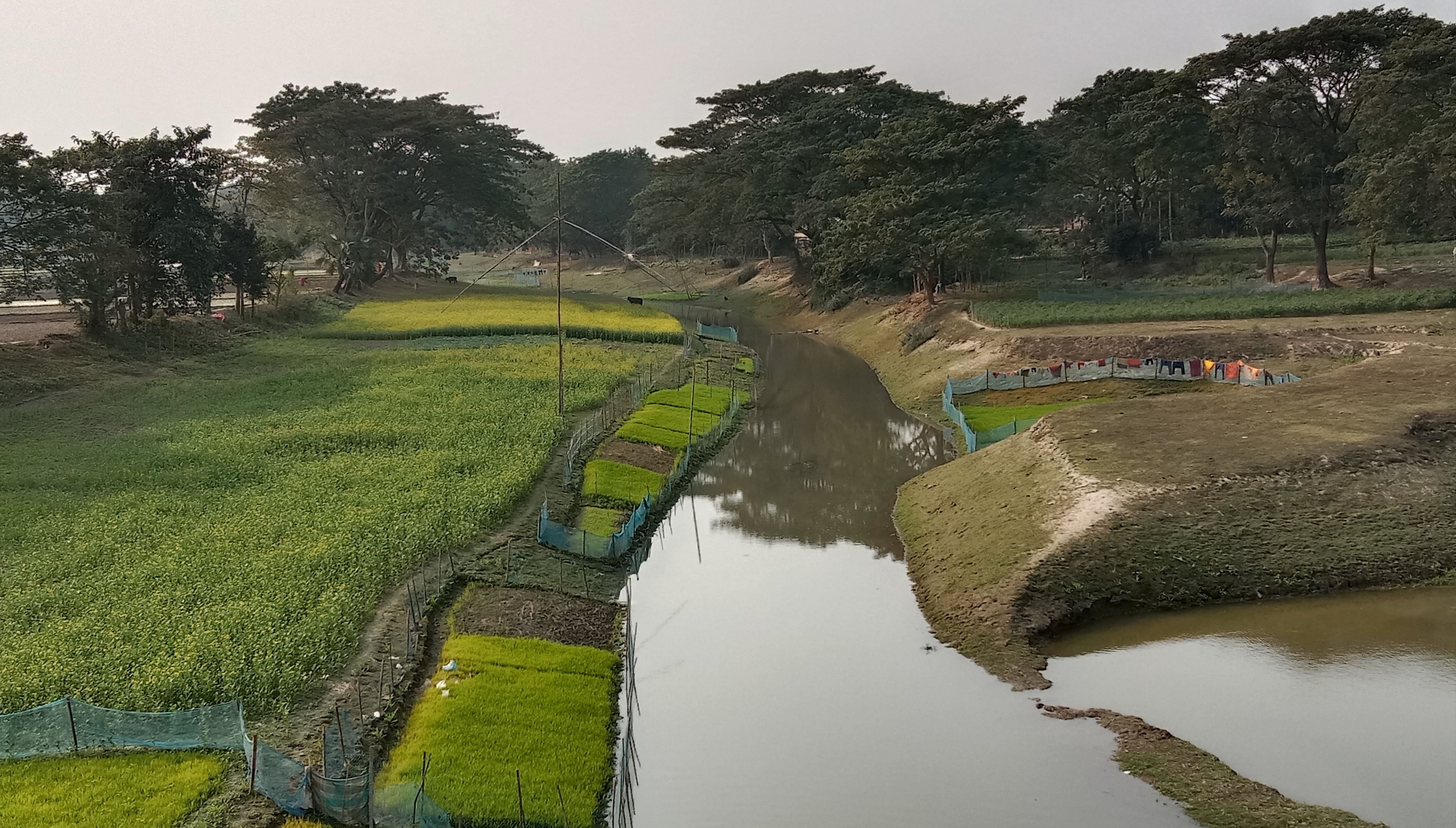 অস্তিত্ব সংকটে নেত্রকোনার নদ-নদী