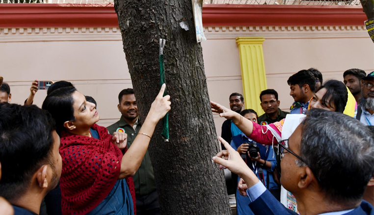 থার্টি ফার্স্ট নাইটে আতশবাজি ও পটকা ফোটানো থেকে বিরত থাকার আহ্বান পরিবেশ উপদেষ্টার