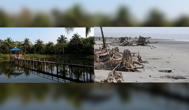 সুন্দরবন প্রকৃতির অপার সৌন্দর্যের লীলাভূমি