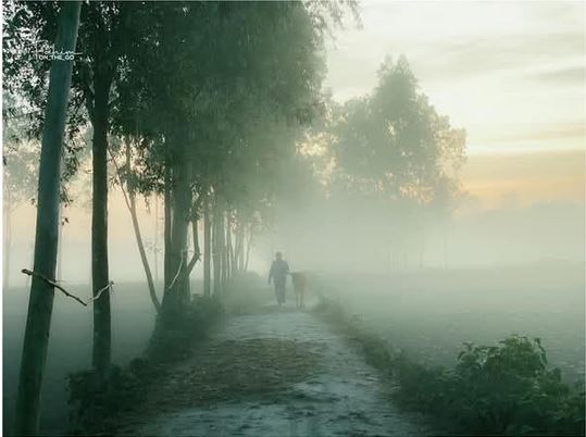 দিনাজপুরে শীতের তীব্রতা বেড়েই চলছে 