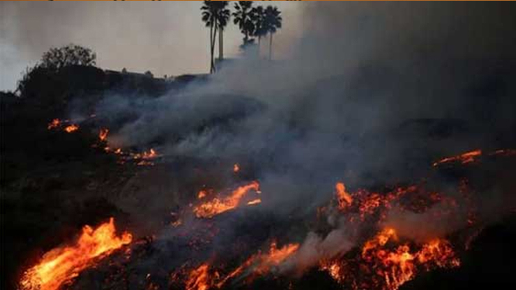 লস অ্যাঞ্জেলসে দাবানলে নিহতের সংখ্যা বেড়ে ২৪