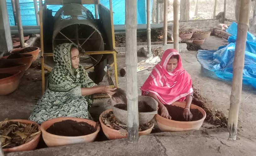 বগুড়ায় কেঁচো সারে ভাগ্য বদলে গেল সুমি ও শামিমার