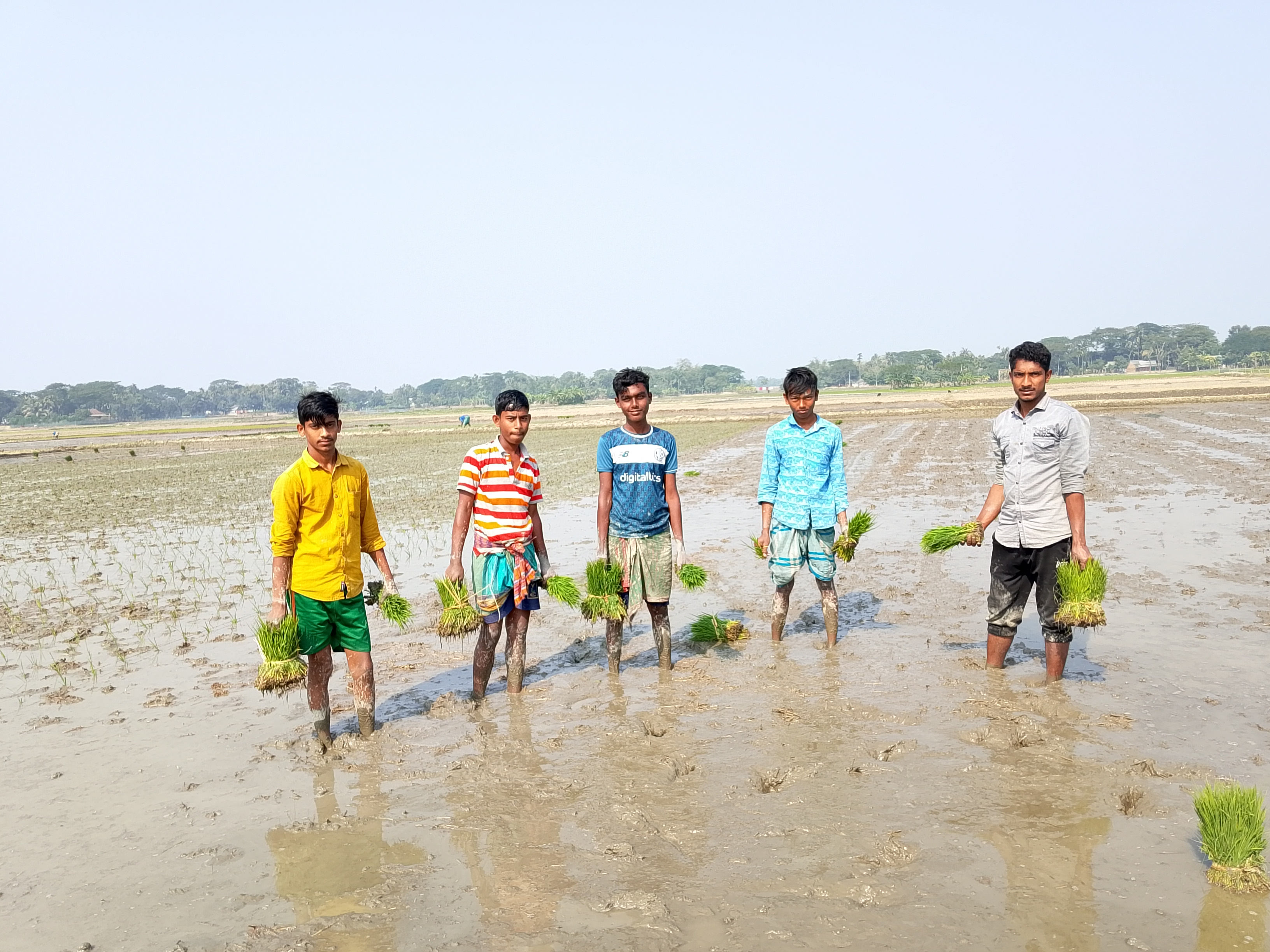 নেত্রকোনার কৃষকরা বোরো চাষ করে ঘুরে দাঁড়ানোর চেষ্টা করছেন 