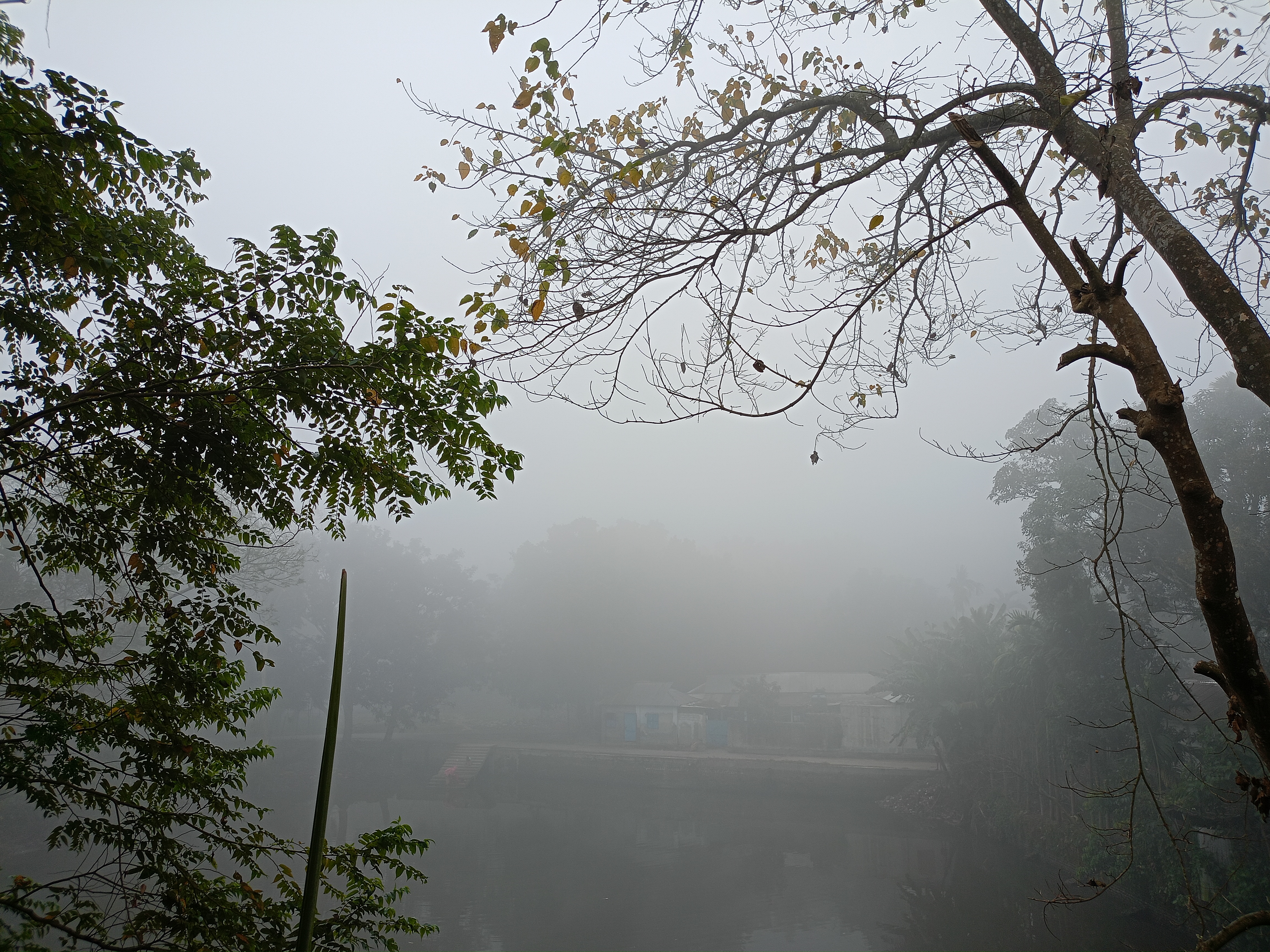 কুড়িগ্রামে শীতে বিপর্যস্ত জনজীবন