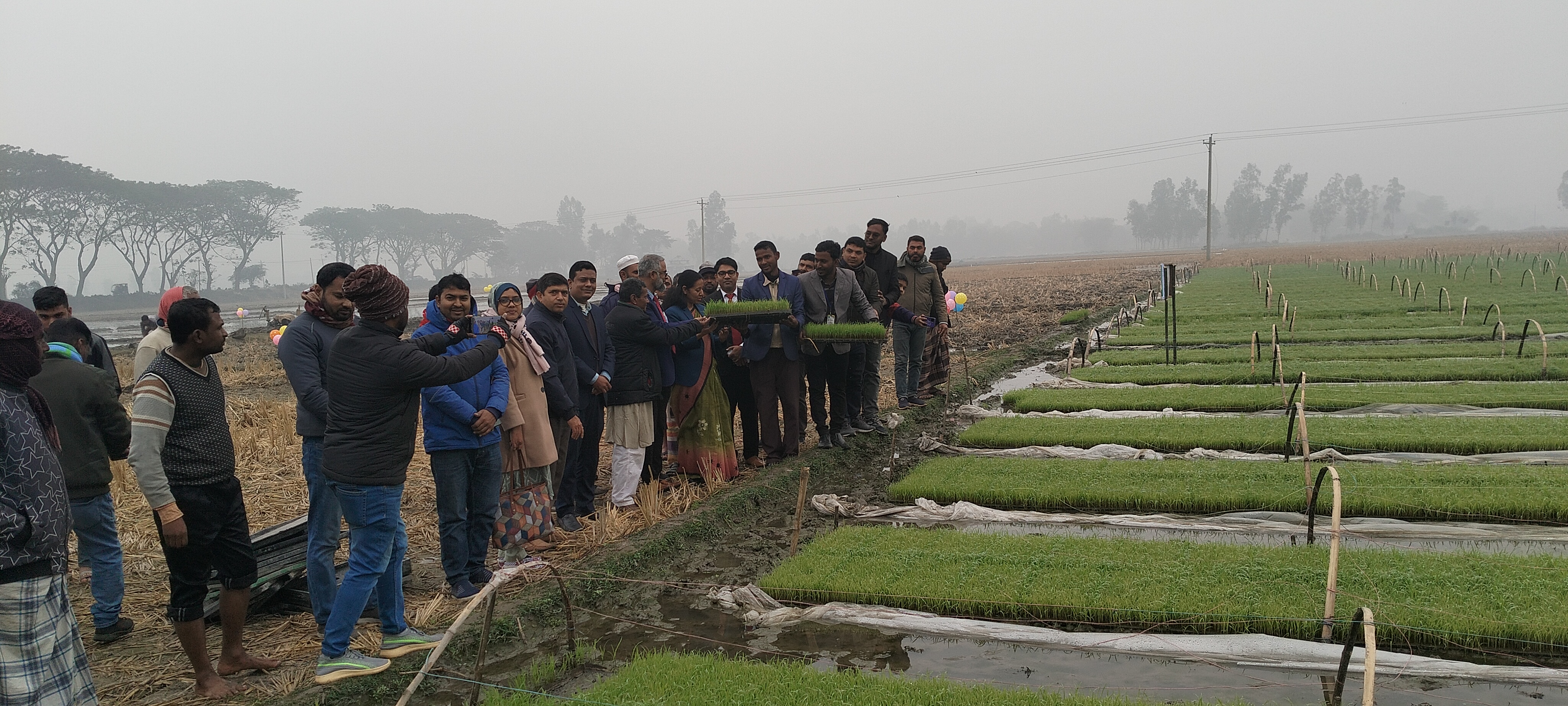 ঠাকুরগাঁওয়ে সমলয় পদ্ধতিতে বোরো ধান চাষ উদ্বোধন