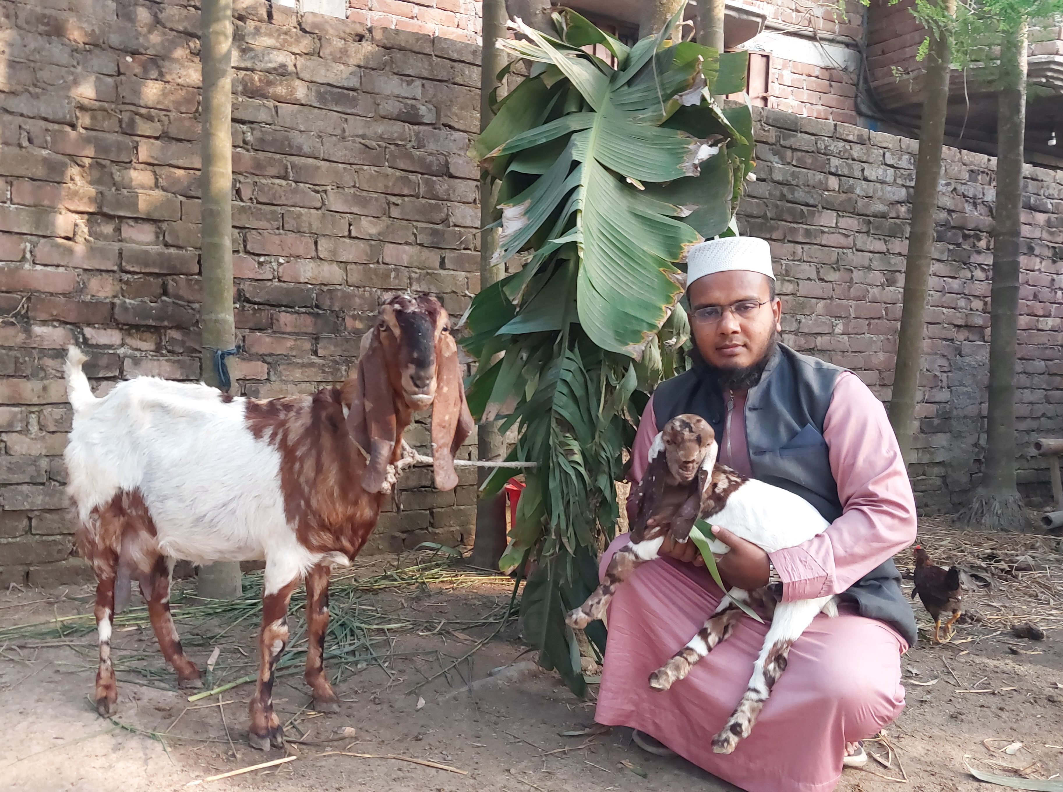 নাটোরে হাফেজ ওমর ফারুকের বৈচিত্র্যময় খামার বাড়ি